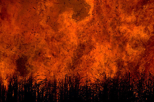 Resultado de imagem para imagens Cabral em chamas